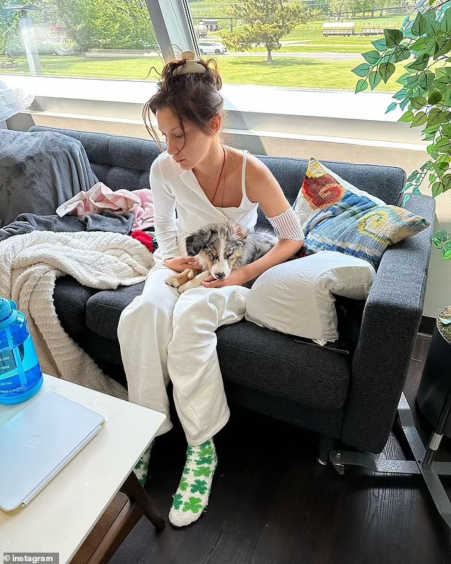 Siêu mẫu Bella Hadid kể cuộc chiến chống bệnh Lyme - Ảnh 4.