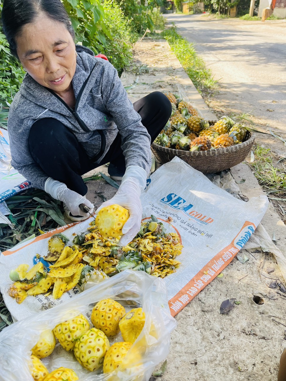 Ở một khu rừng gỗ quý nổi tiếng Vĩnh Phúc, dân trồng cây dứa gai ra quả ngon quá trời, bán hút hàng- Ảnh 5.