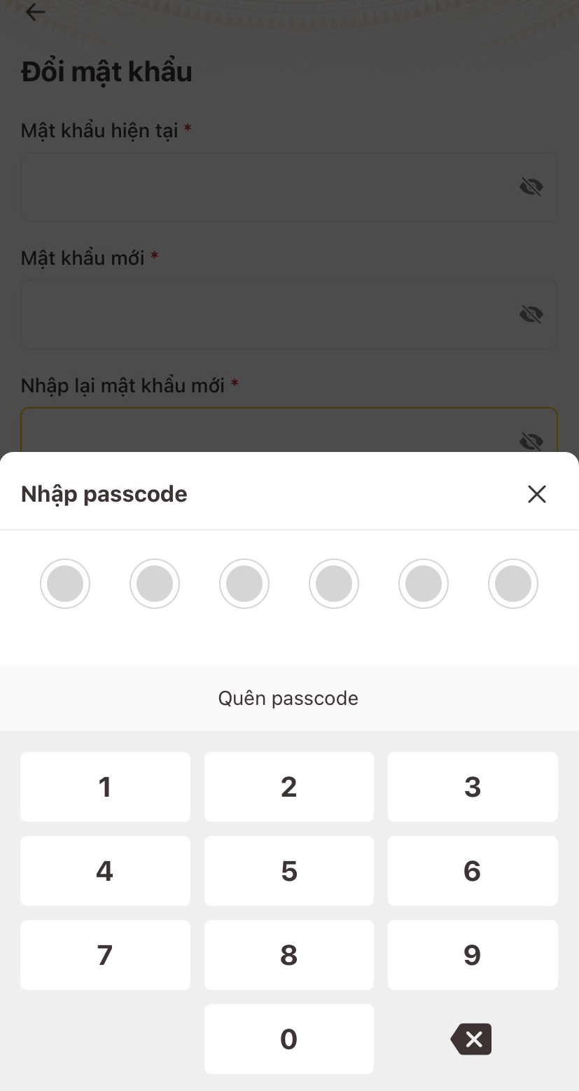 Hướng dẫn cách đổi mật khẩu, passcode VNeID