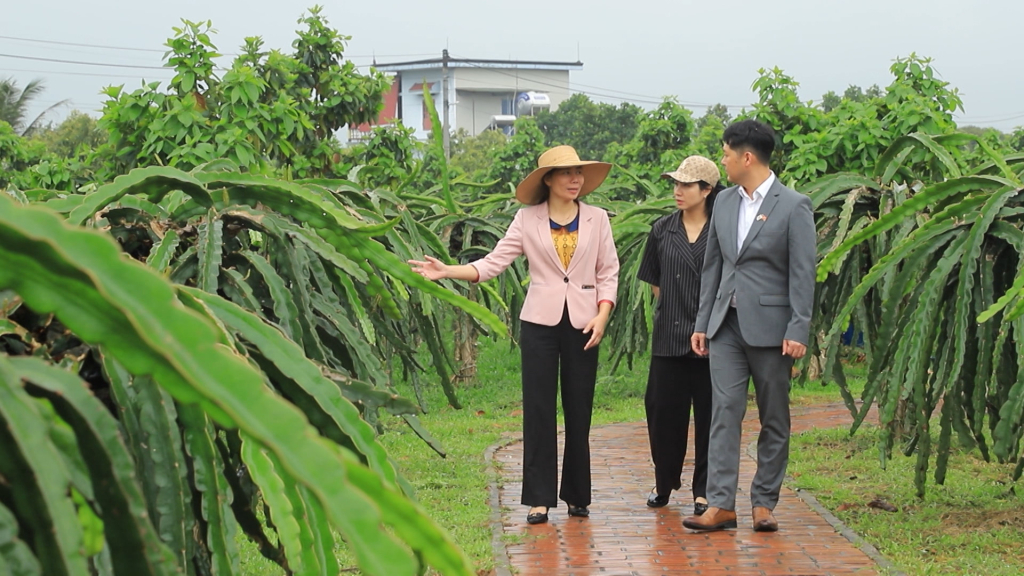 Die Menschen der Gemeinde Viet Dan (Stadt Dong Trieu) haben Obstgärten angelegt, die mit erlebnistouristischen Aktivitäten in Verbindung stehen, um den Wert zu steigern. Foto von der Einrichtung bereitgestellt.