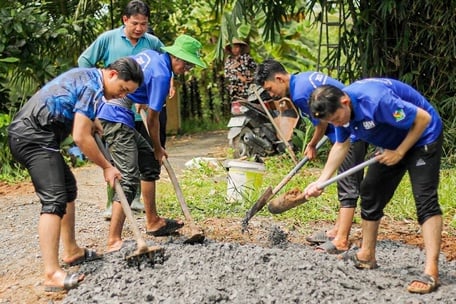 Many practical works and projects have been carried out by young people in Mang Thit district.