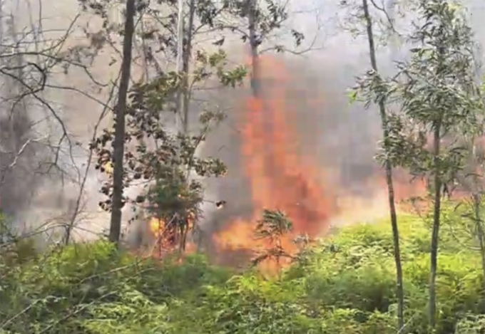 Scene of the forest fire in Nam Kim commune, Nam Dan district. Photo: Hai Dang