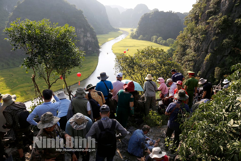 Sức hấp dẫn của Photo tour Mùa vàng Tam Cốc