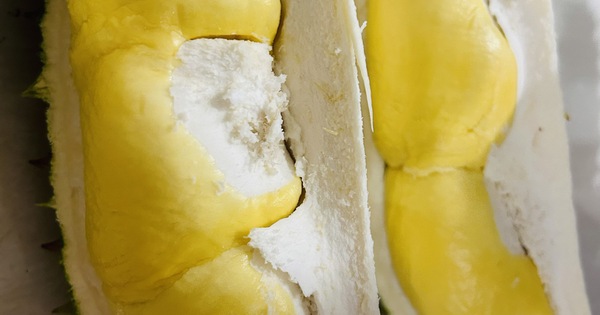 What do doctors say about the wonderful benefits of durian?