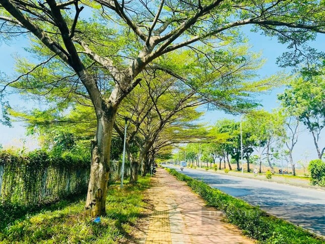 La hermosa carretera de flores de papel como en una película en la ciudad de Ho Chi Minh está causando revuelo en Internet. Foto 17