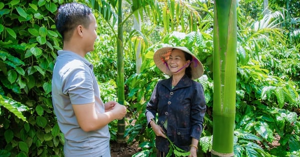 Record fresh areca nut price, ranked first in Dak Lak, pushing durian price to second, what is the truth that is causing a stir?