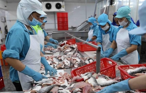 Vietnamesische Meeresfrüchte öffnen dem Markt in Singapur die Türen