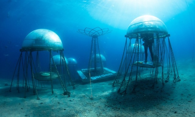 The biosphere used to grow plants in Nemo's garden. Photo: CNN