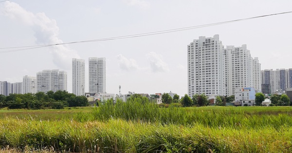 Wenn das Gesetz nicht geändert wird, werden Immobilienprojekte in den nächsten zehn Jahren ins Stocken geraten.