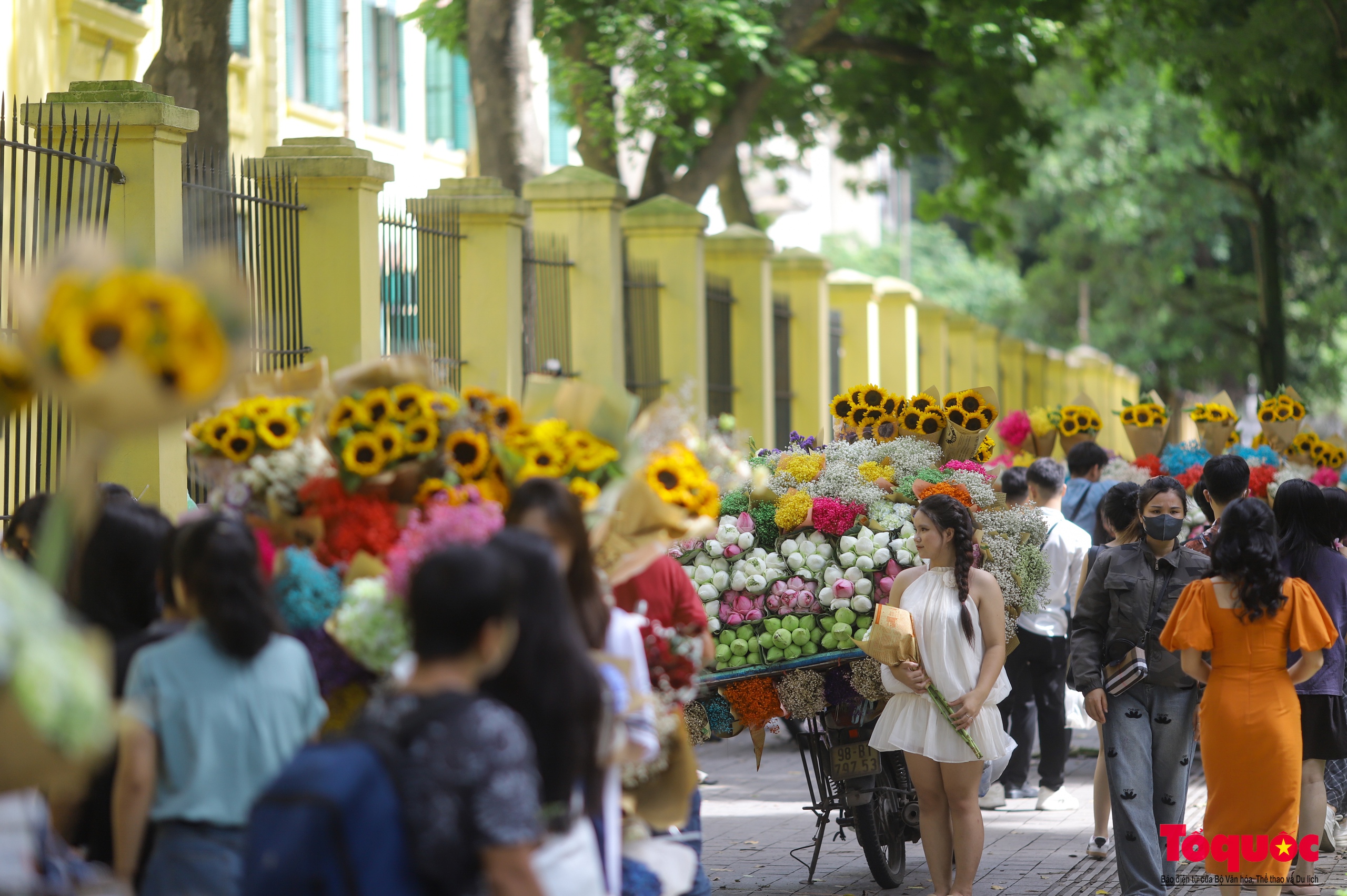 Hà Nội: Chấp nắng nóng các '"nàng thơ" nô nức chen chân check- in phố mùa thu Phan Đình Phùng - Ảnh 6.