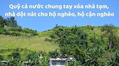 Thành lập Quỹ cả nước chung tay xóa nhà tạm, nhà dột nát cho hộ nghèo, cận nghèo