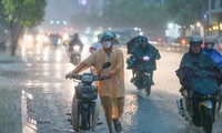 Ho Chi Minh City may be cold below 20 degrees