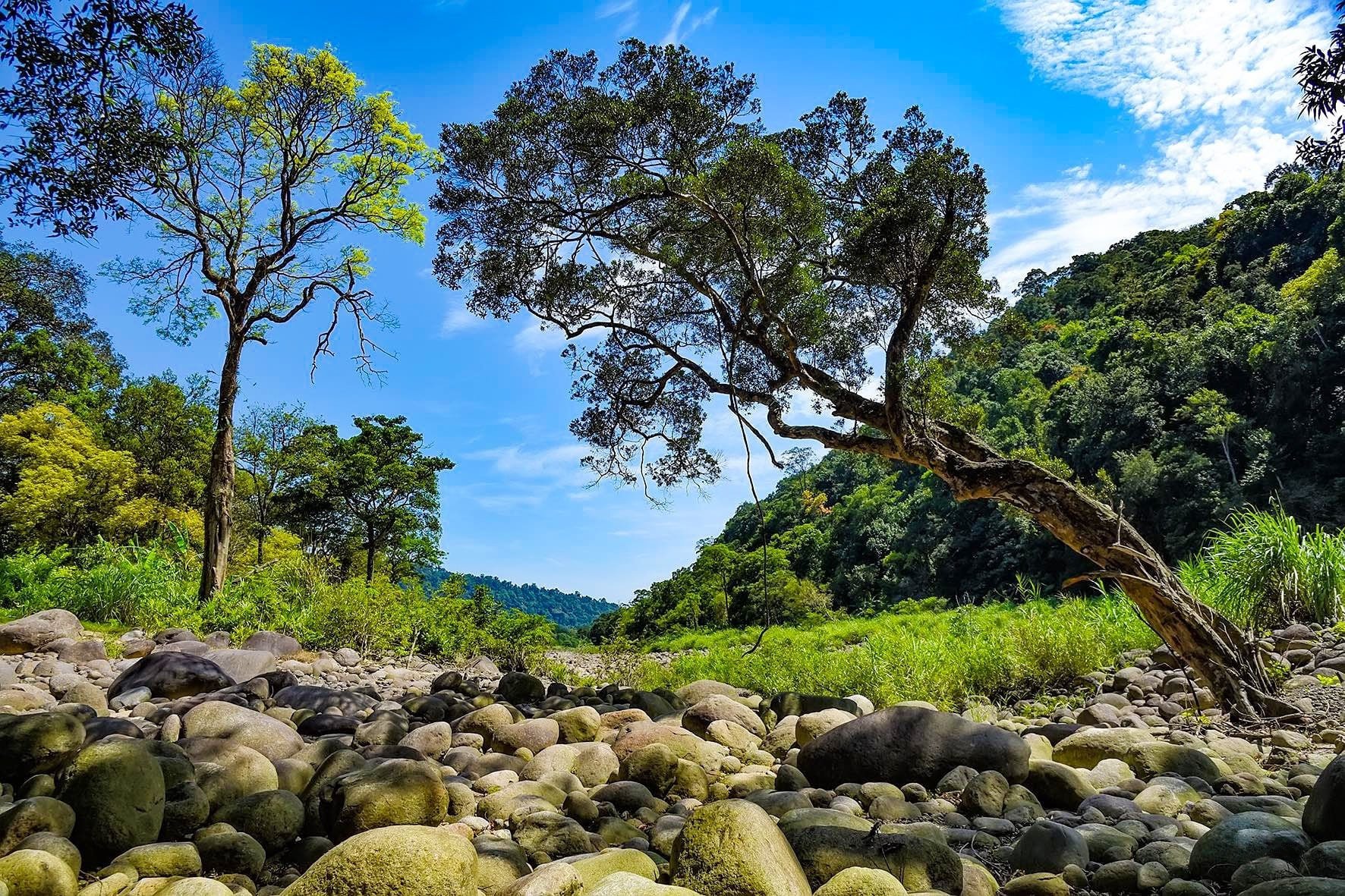 An 'unbelievably beautiful' world hidden in the Truong Son mountain range