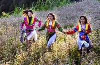 Ha Giang prepares the best conditions for the 2024 buckwheat flower festival