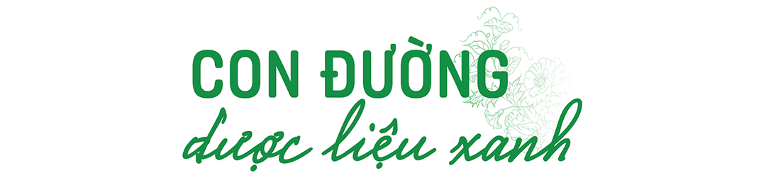 Dân vùng bãi làm thật ăn thật nhờ cây bìm bìm biếc - Ảnh 4.