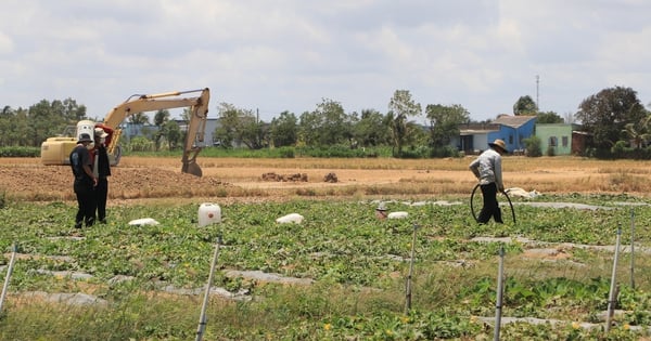 The rainy season in the South this year came late, drought and salinity continue.