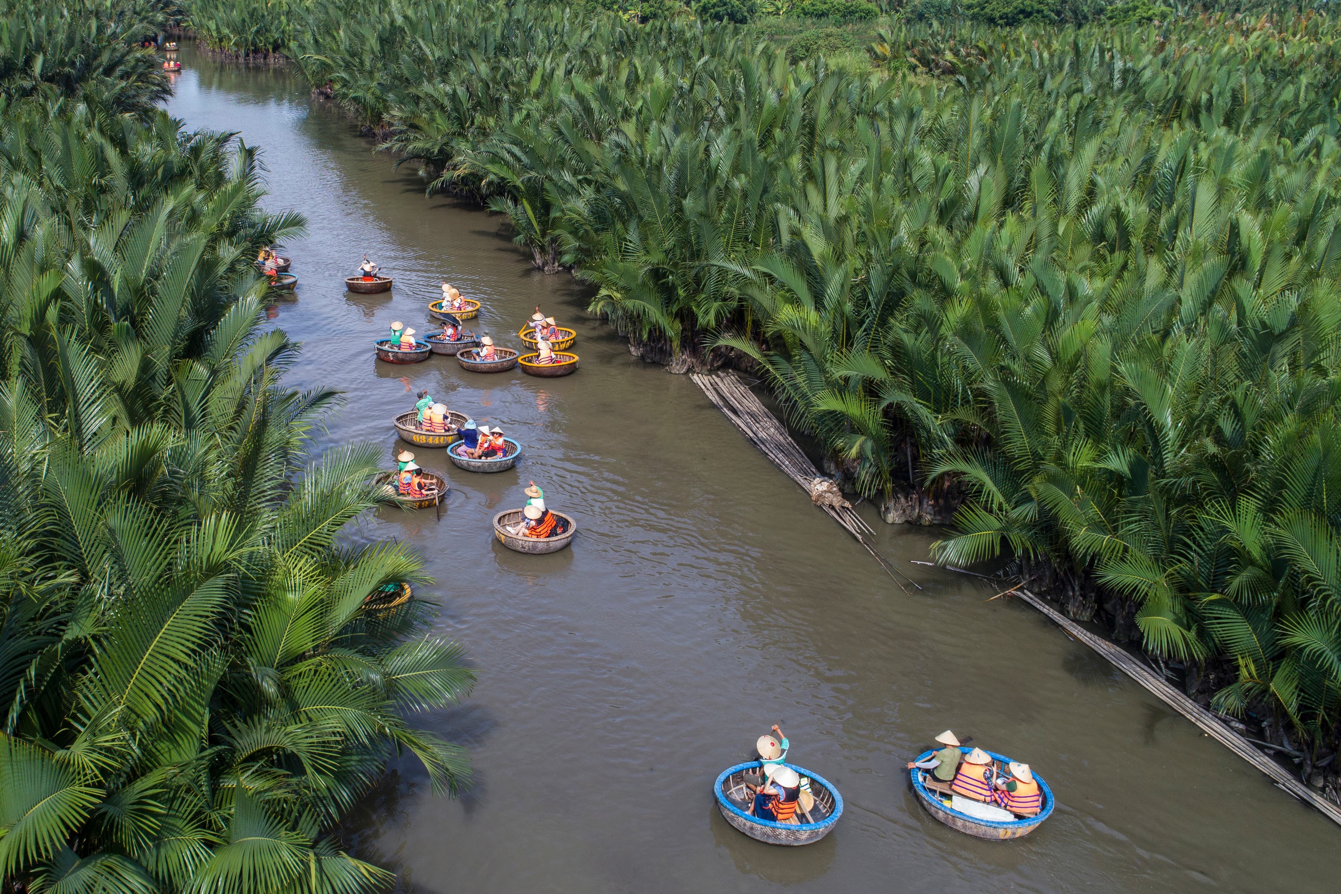 Traveling in the coconut forest by basket boat