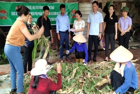 Training on organic fertilizer production from agricultural by-products