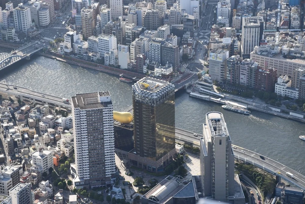 東京スカイツリーから望む墨田区の眺め。 （写真：グエン・トゥエン/VNA）