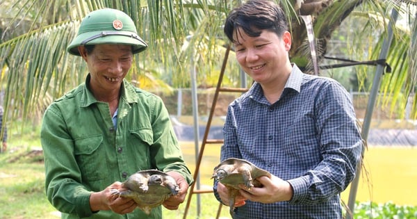 Làm trang trại tổng hợp, nông dân xuất sắc thu hơn 40 tỷ mỗi năm