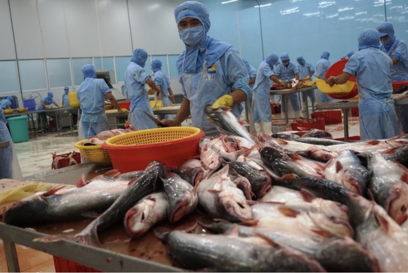 In October 2023, Vietnam was the only market with increased volume and value of seafood exports to Korea.