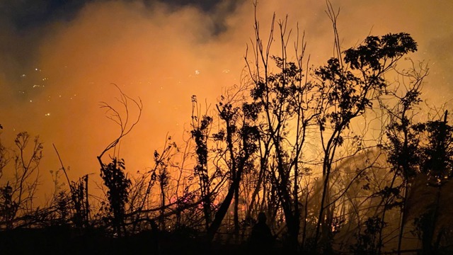 Waldbrand dauerte viele Stunden im Bezirk Bai Chay