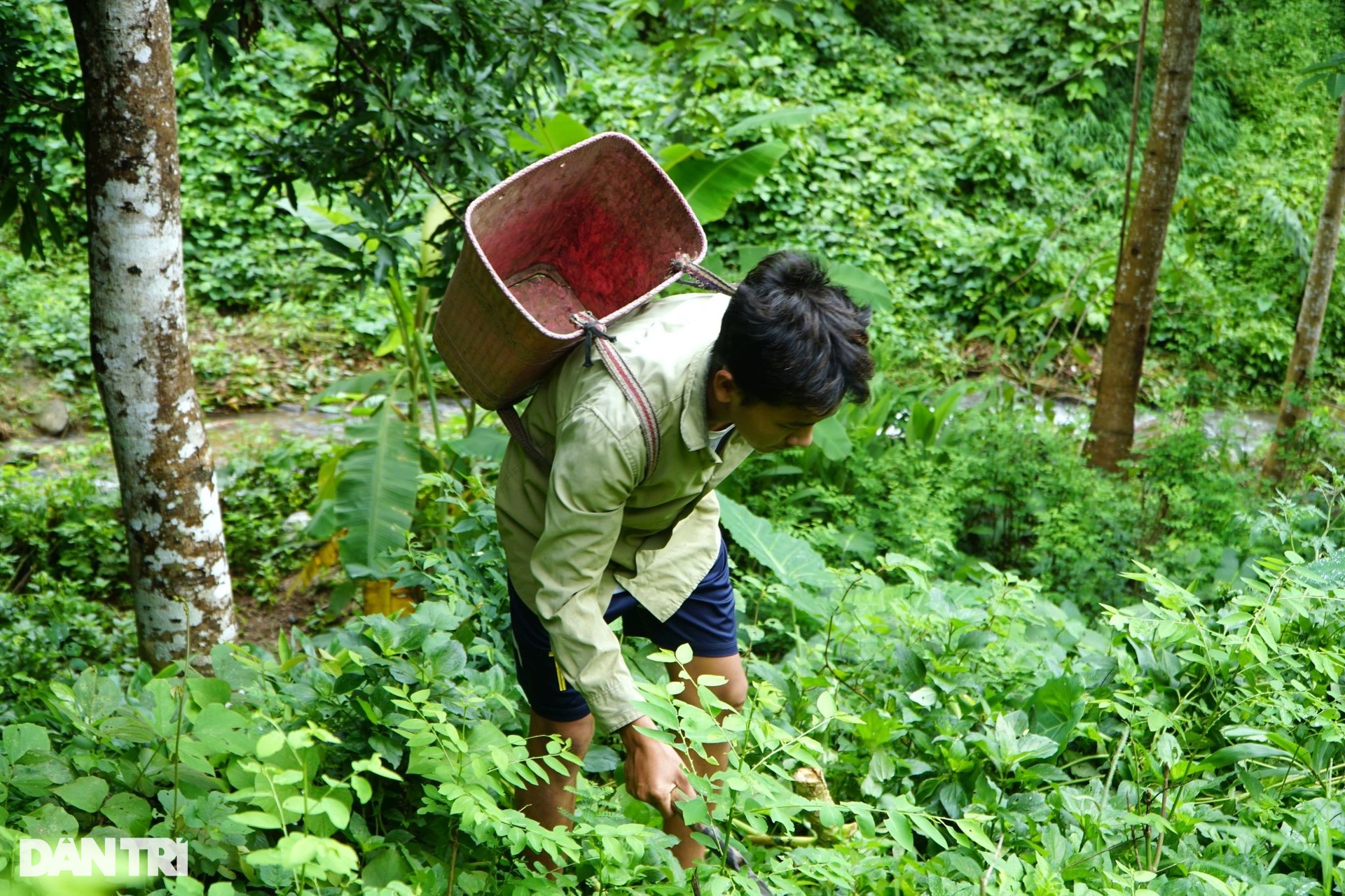 Kỳ nghỉ hè không như mơ của những đứa trẻ vùng cao - 1