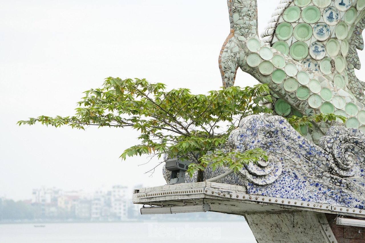 Little-known story about the pair of dragons erected in West Lake during the Ly Dynasty, photo 10