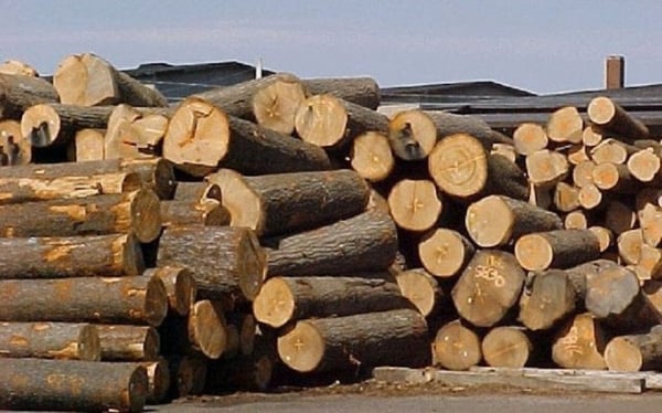 Orders flourish, wood and wood products export earns nearly 8.89 billion USD