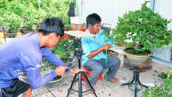 កសិករ ជូ ឡាច លក់ផ្កាលម្អដោយទំនុកចិត្តតាមបណ្តាញសង្គម