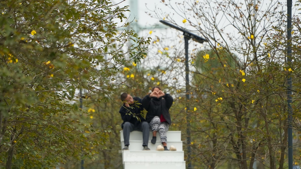 Erfreuen Sie sich an den gelben Windspielblumen, die in der ersten Saison auf den Straßen von Hanoi blühen. Foto 10