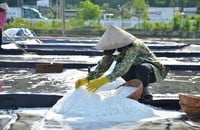 Le village de sel de Sa Huynh et l'orientation du développement du tourisme communautaire