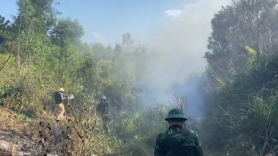 Hunderte von Menschen mobilisierten sich, um Waldbrände in Ha Tinh zu löschen. Foto 13