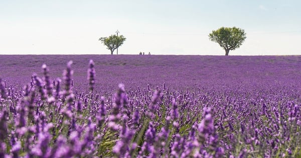 フランスがなぜそんなに魅力的なのか？