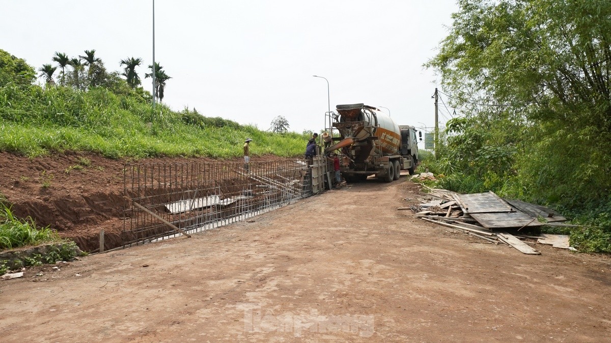 Hanoi dépense près de 400 milliards de VND pour rénover la digue du fleuve Rouge à travers le district de Phu Xuyen, photo 5