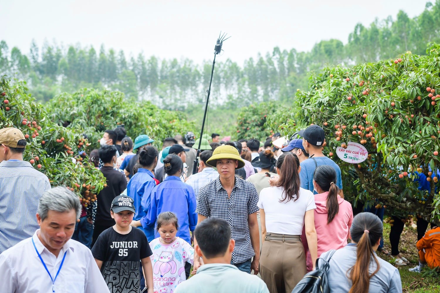 Sự kiện - Biển người nô nức tham dự chương trình du lịch Lục Ngạn mùa vải chín (Hình 3).