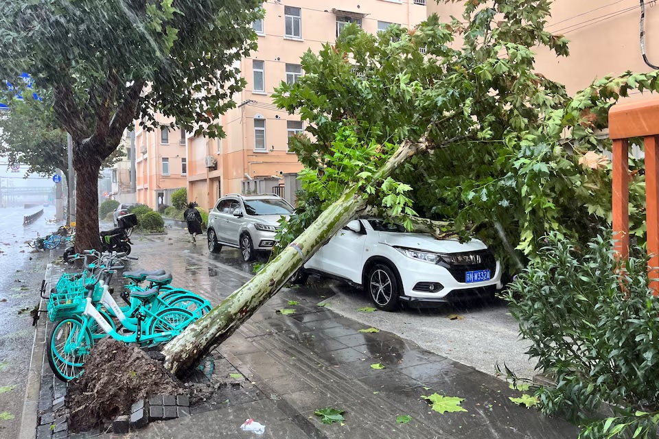 Super Bebinca laisse beaucoup de dégâts lorsqu'il est détruit. Image 1