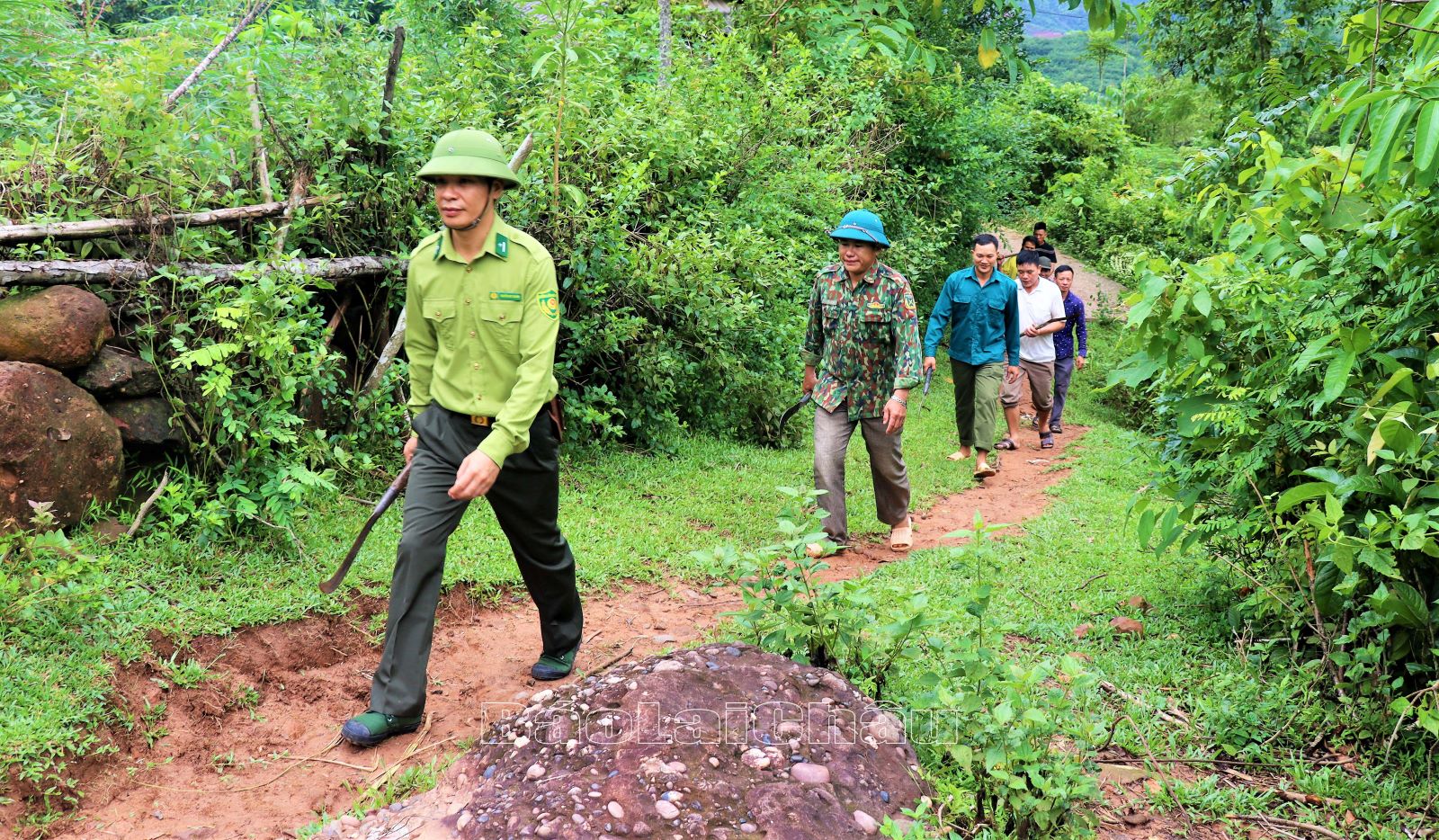 Thường xuyên tuần tra, kiểm soát các khu vực rừng