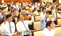 Dismissal of Ho Chi Minh City People's Council delegates To Thi Bich Chau and Tran Hai Yen