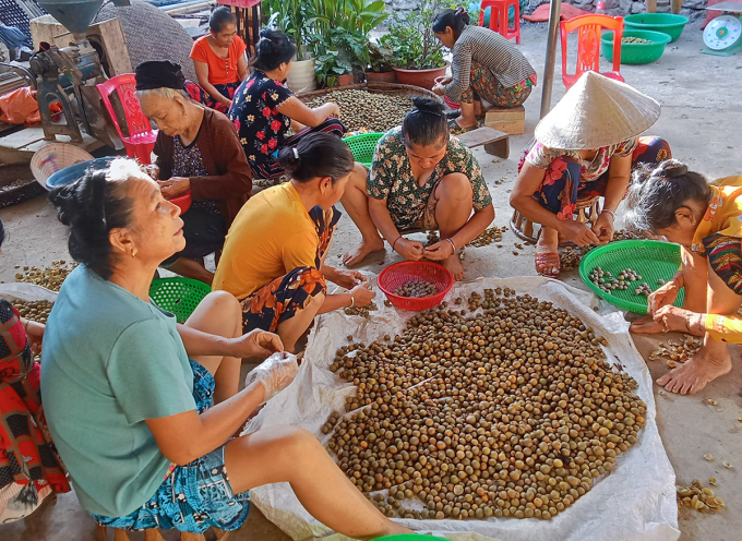 ប្រជាជននៅតំបន់ខ្ពង់រាប Nghe An បានប្រមូលផ្តុំគ្នាបំបែកគ្រាប់ពូជ bo bo នៅដើមខែសីហា រូបថត៖ Hung Le