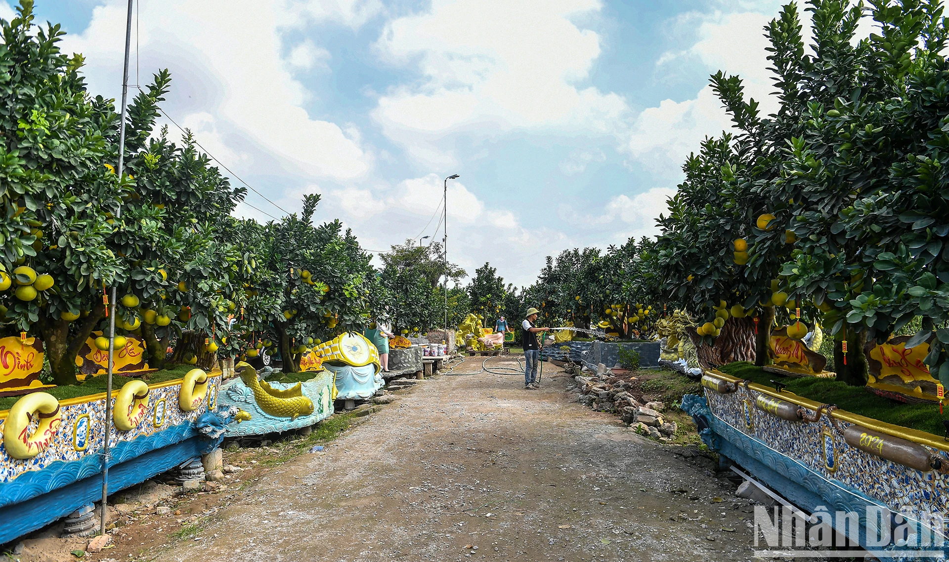 [Foto] Maceta 