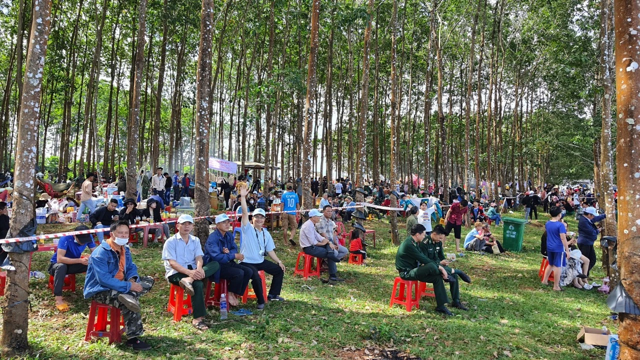 Gia Lai: Đua thuyền độc mộc trên dòng Pô Cô - Ảnh 5.
