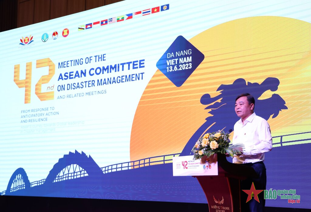 42ª Reunión Anual del Comité de Gestión de Desastres de la ASEAN