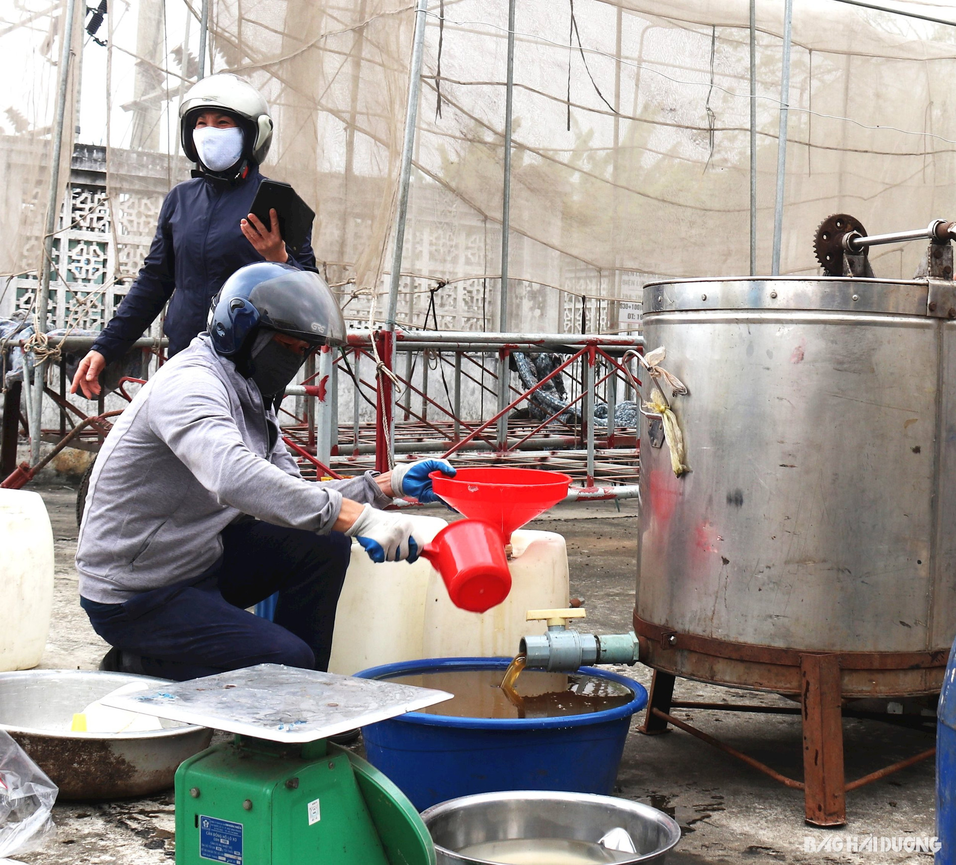 Về Thanh Hà, Hải Dương xem thợ ong lấy mật vải là một trong những trải nghiệm thú vị vào tháng 3 hằng năm- Ảnh 5.