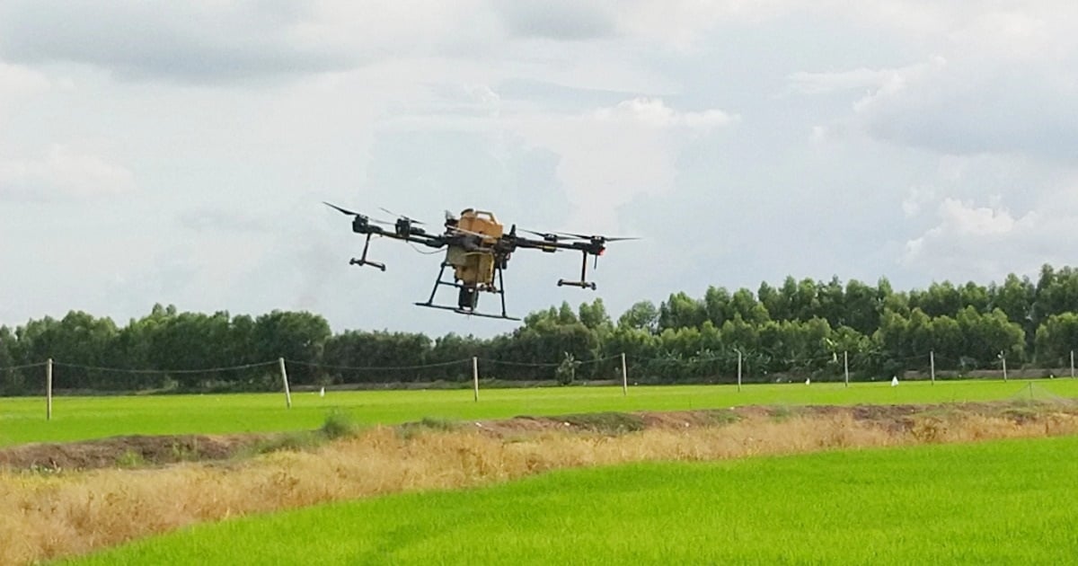 Drone sprays pesticides and gets stuck in power lines, 76,000 households in Long An lose power