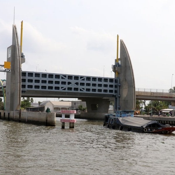 La intrusión de agua salada en el delta del Mekong tiende a disminuir gradualmente.