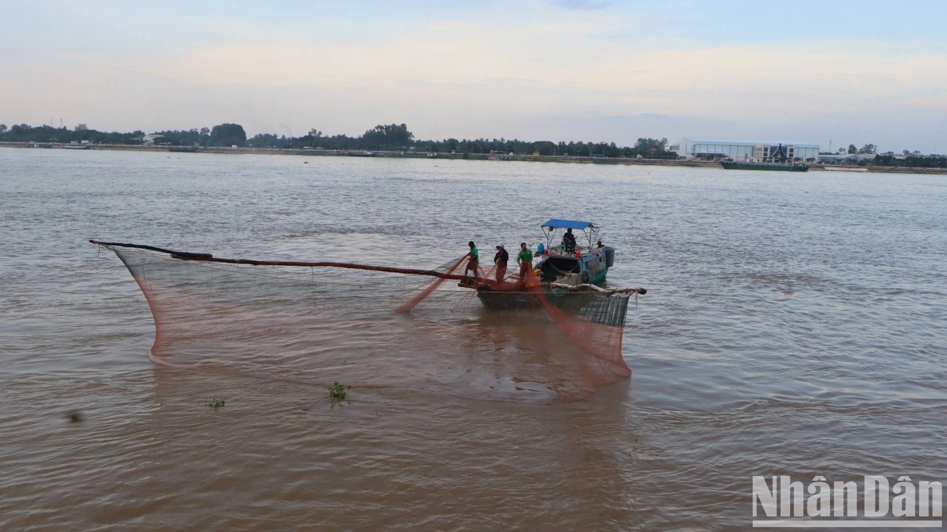 Bắt la liệt cá linh, cá đồng, tôm sông mùa nước nổi An Giang, sao vẫn lo con nước bất thường?- Ảnh 2.