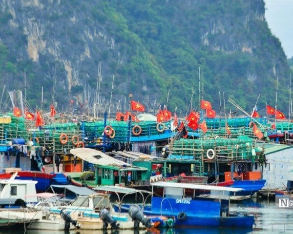 6 năm nỗ lực gỡ "thẻ vàng" IUU: Quyết tâm về đích