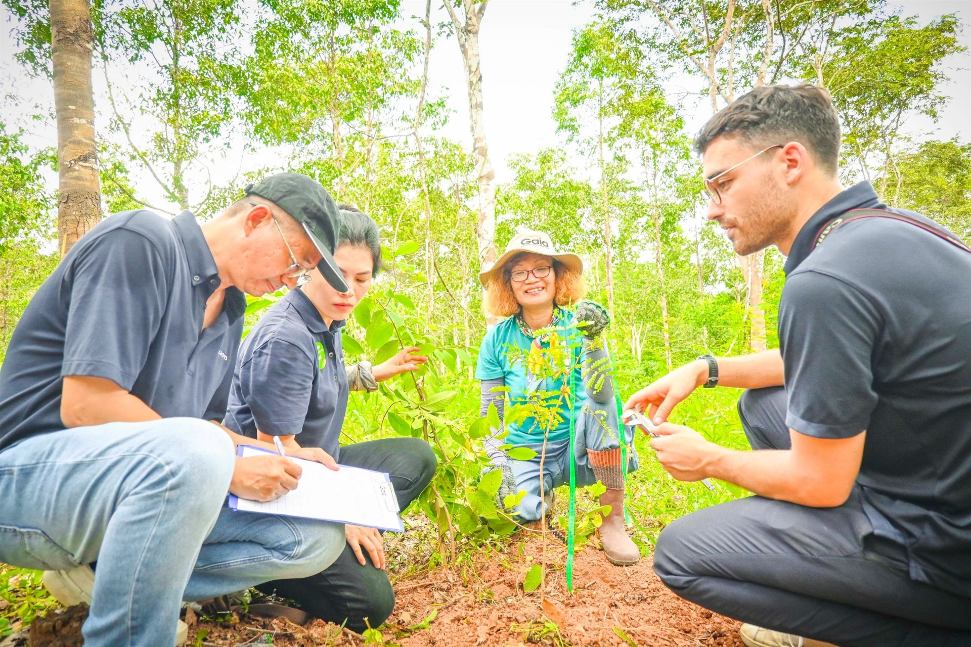 Plantación de árboles en la Reserva Mundial de la Biosfera de Dong Nai. Foto: Centro de Conservación de la Naturaleza Gaia