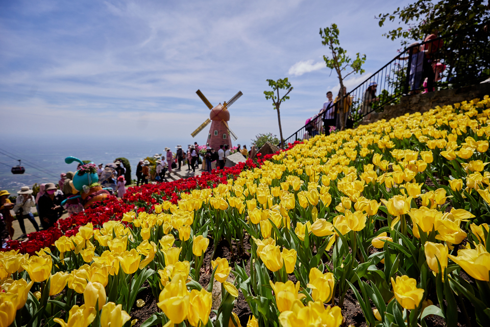 バデン山は鮮やかな花々で観光客を魅了しています。